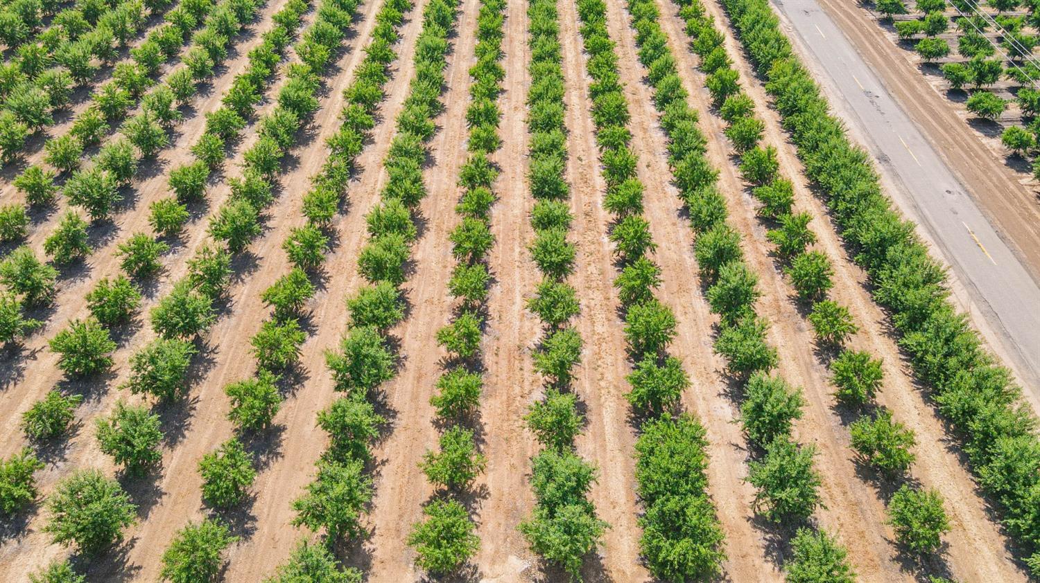 10391 Gillette Road Le Grand, CA 95333 - Photo 16 of 83