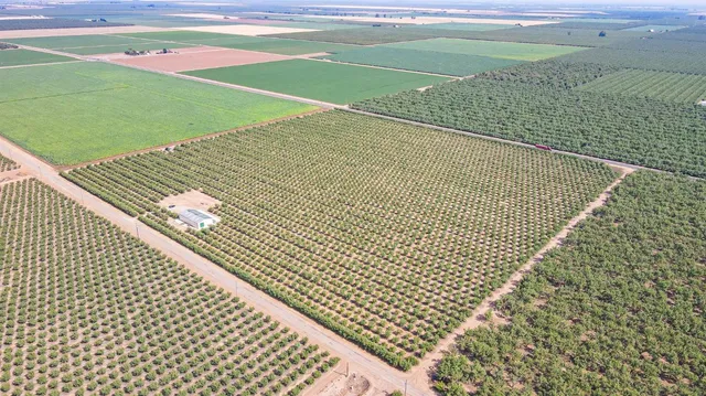 a vase of flowers sitting on a side of a window