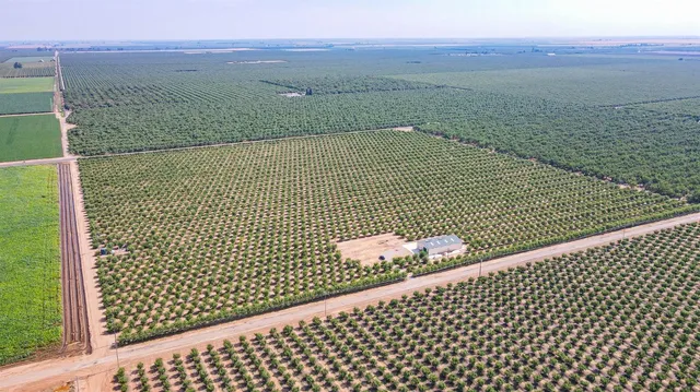 a view of swimming pool from a balcony