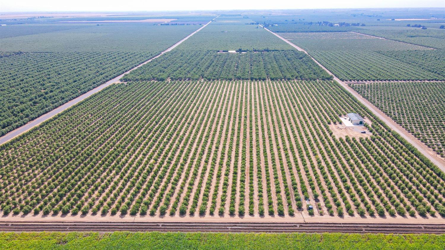 10391 Gillette Road Le Grand, CA 95333 - Photo 24 of 83 a view of terrace with yard