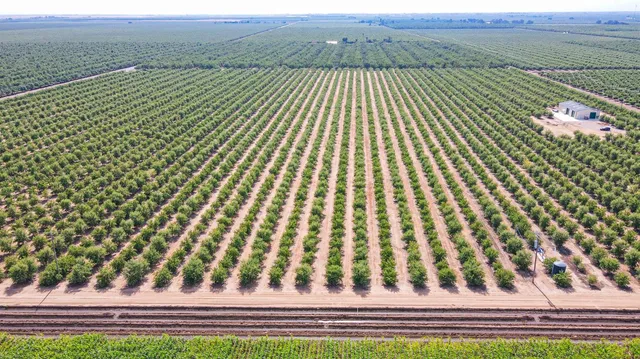 a view of a green field