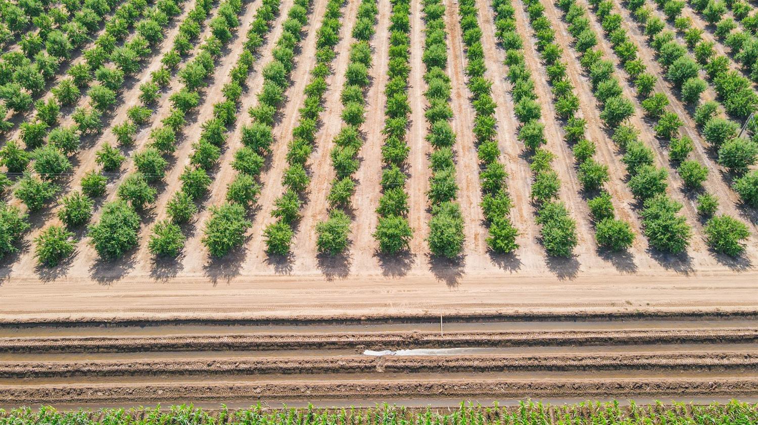 10391 Gillette Road Le Grand, CA 95333 - Photo 27 of 83