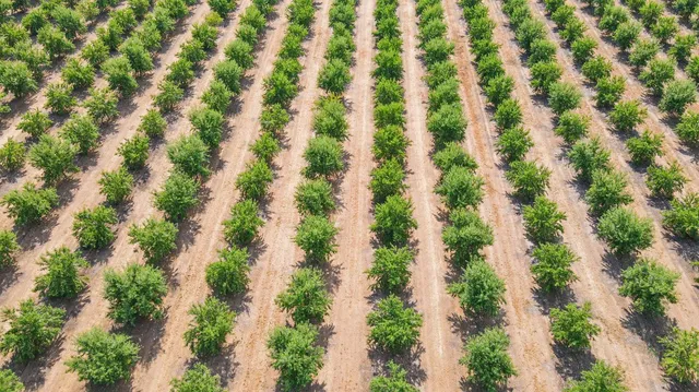 a bathroom with a sink mirror and toilet