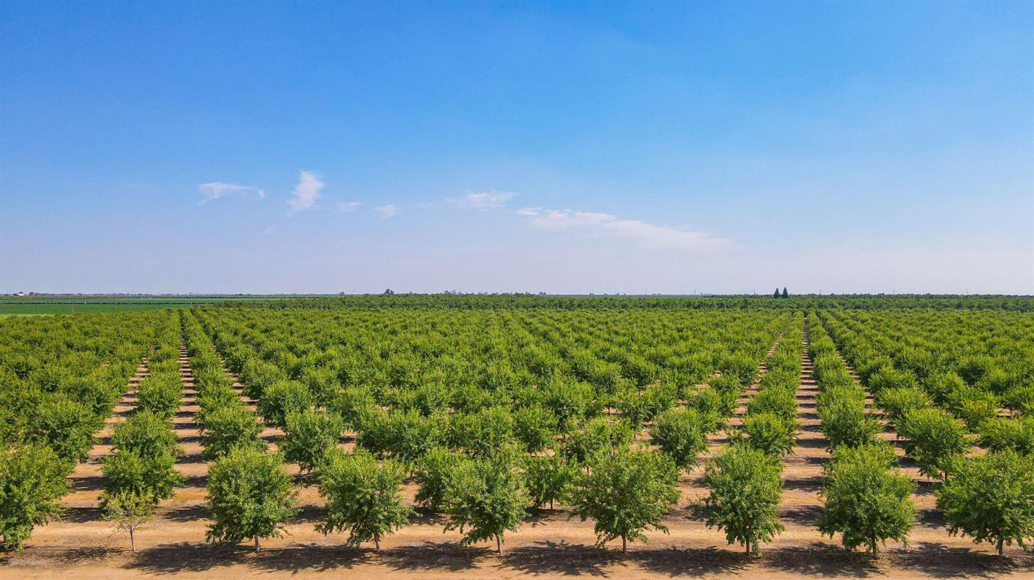 10391 Gillette Road Le Grand, CA 95333 - Photo 3 of 83