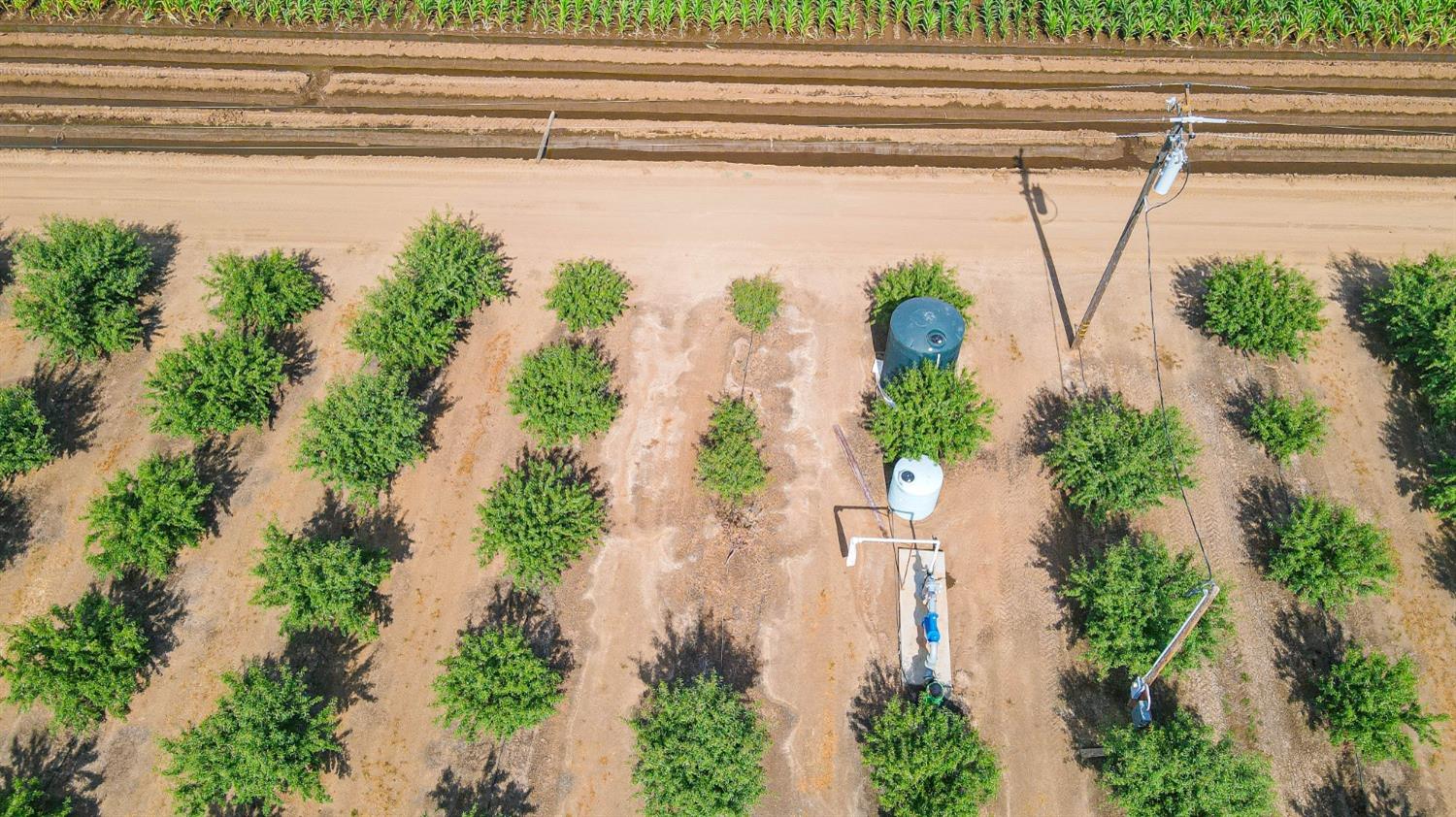 10391 Gillette Road Le Grand, CA 95333 - Photo 31 of 83 a vase of flowers sitting on a side of a window