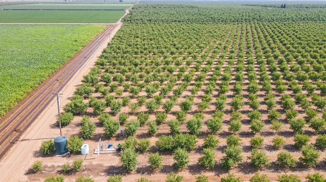 a view of a house with basketball court