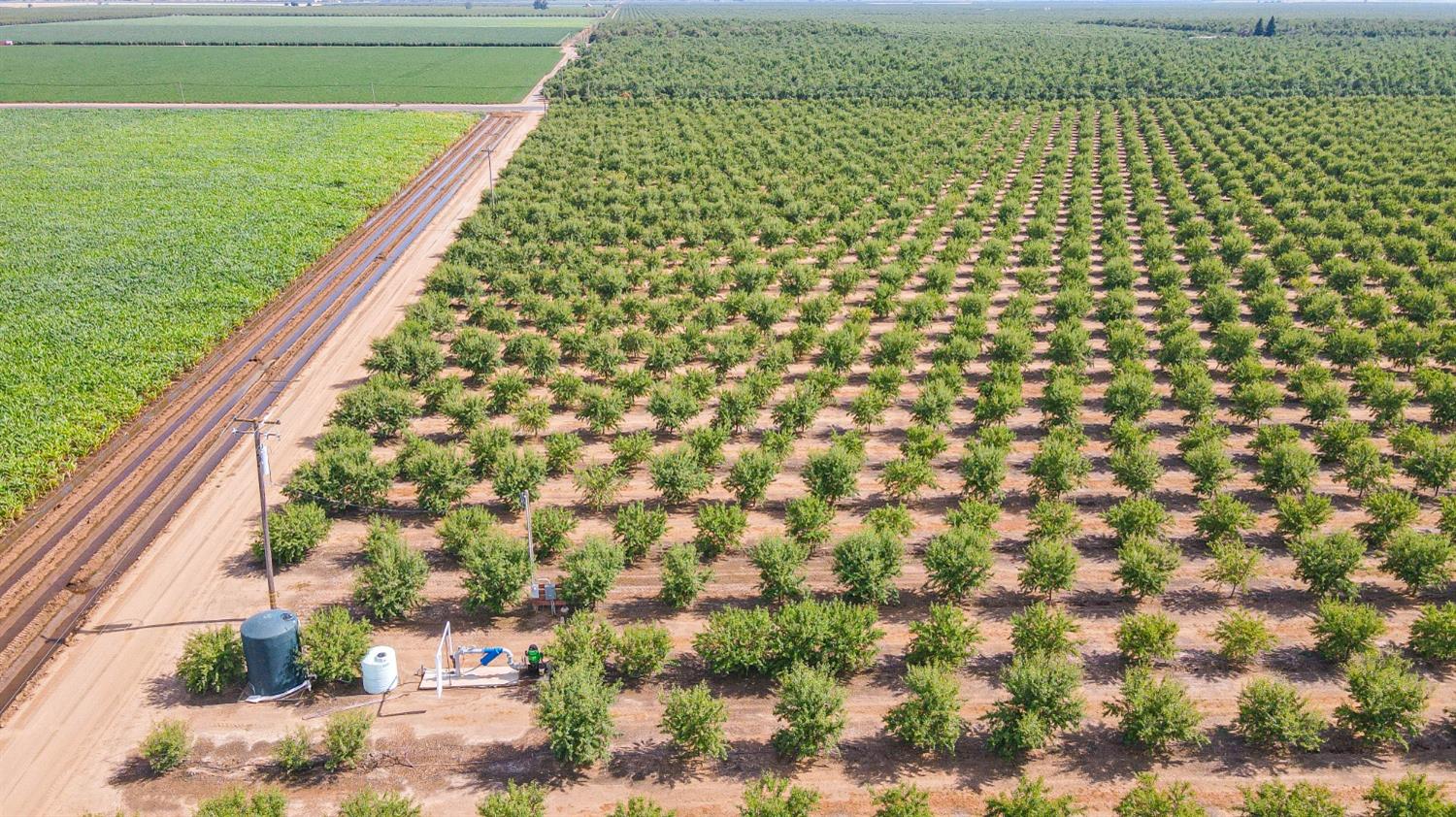 10391 Gillette Road Le Grand, CA 95333 - Photo 32 of 83 a view of a yard