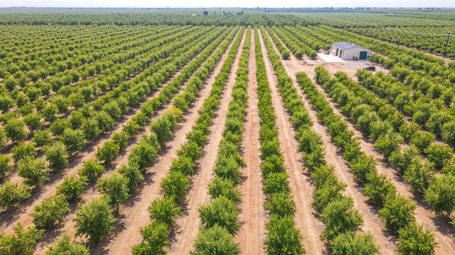 10391 Gillette Road Le Grand, CA 95333 - Photo 37 of 83 a view of an outdoor space and a lake view