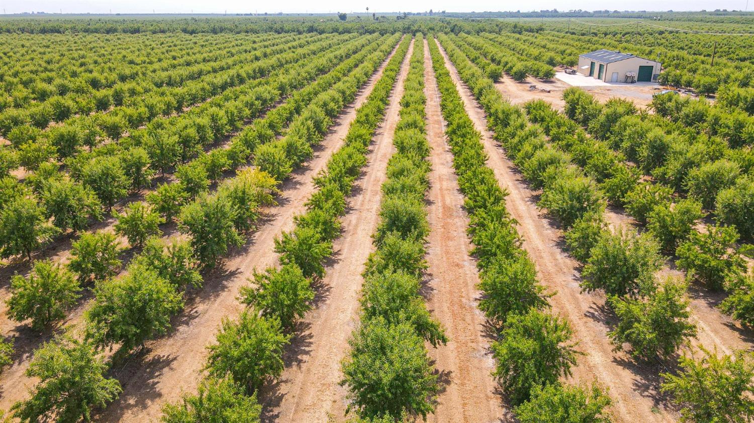 10391 Gillette Road Le Grand, CA 95333 - Photo 38 of 83 an aerial view of residential houses with outdoor space and trees