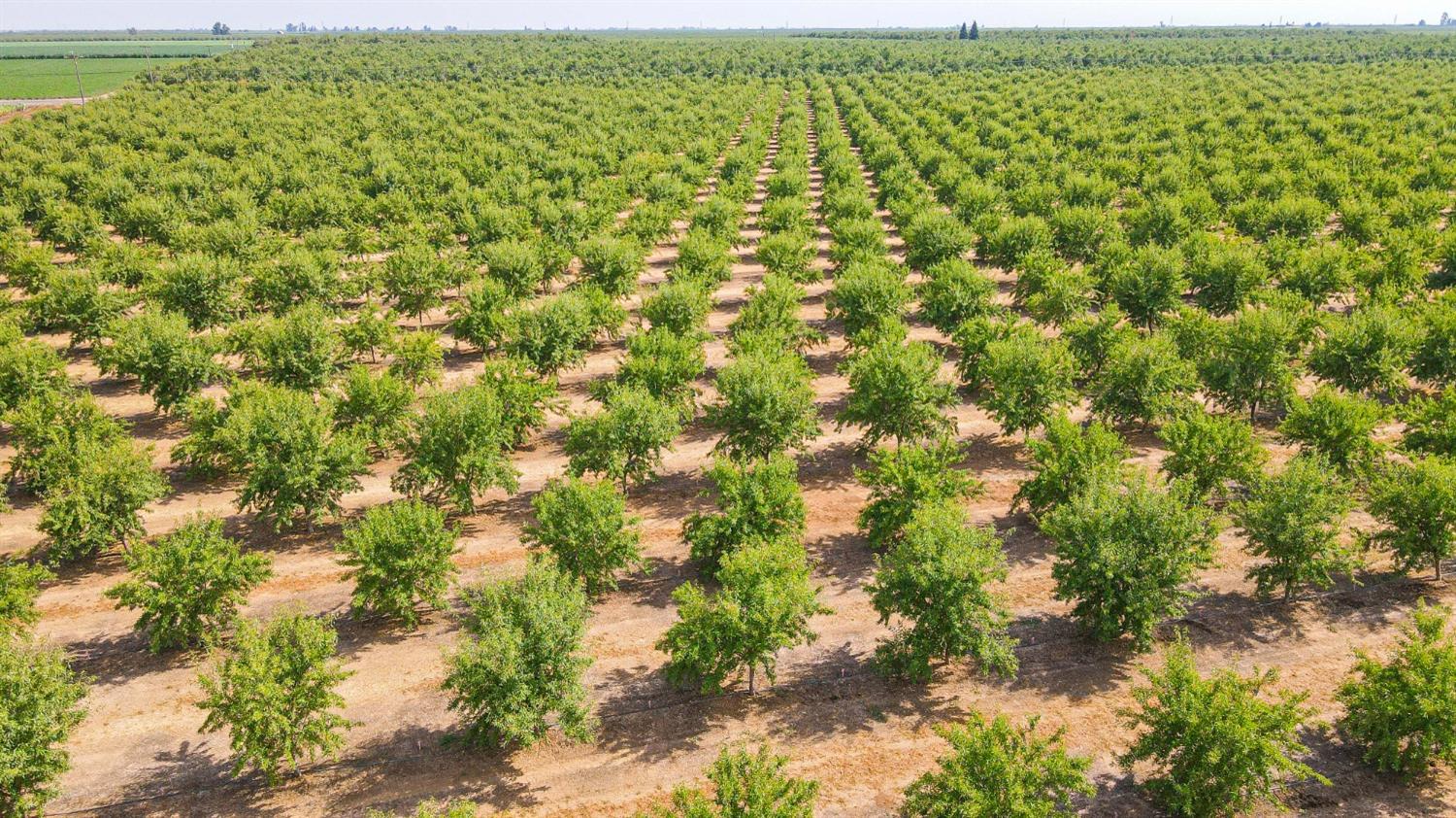 10391 Gillette Road Le Grand, CA 95333 - Photo 40 of 83 a view of a green field