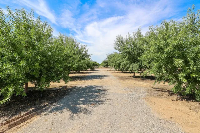 a room with a toilet and a mirror