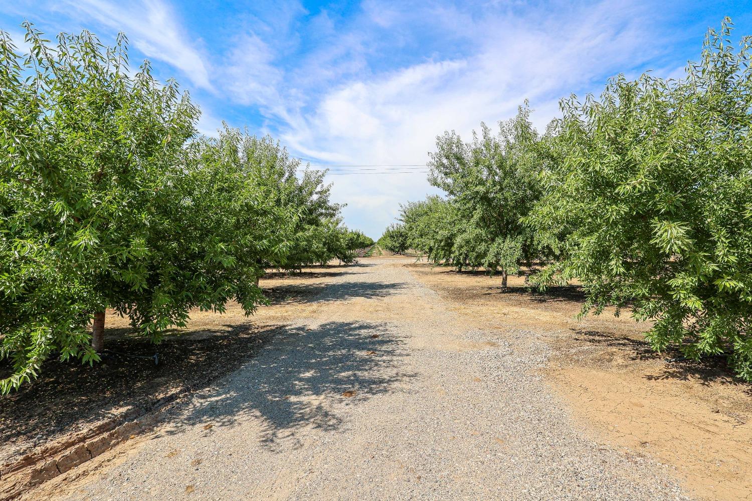 10391 Gillette Road Le Grand, CA 95333 - Photo 42 of 83 a view of road with large trees