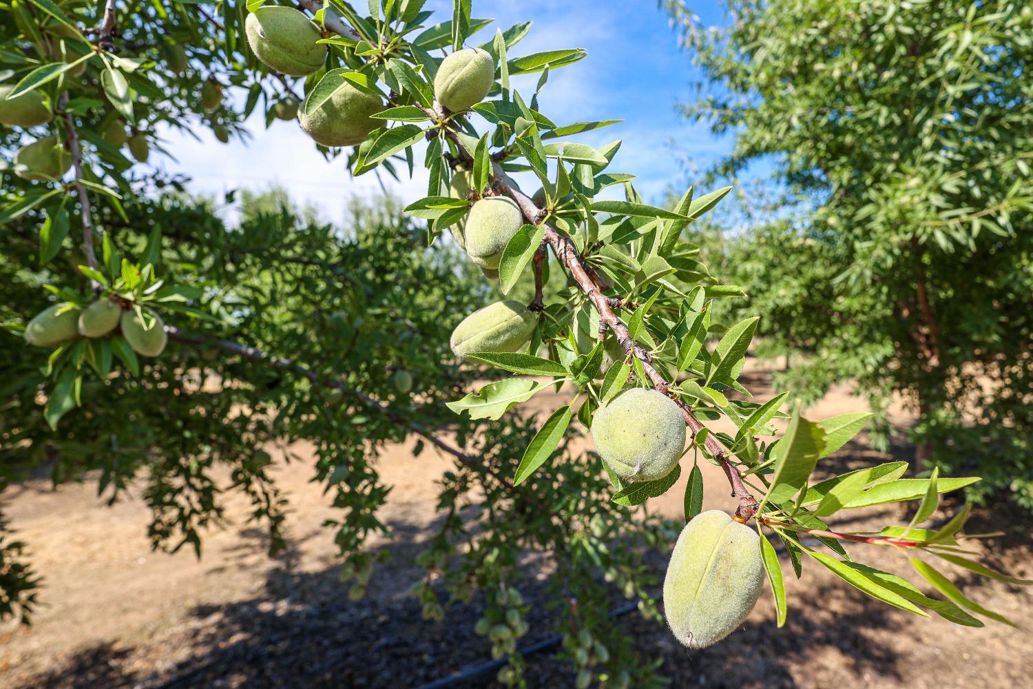 10391 Gillette Road Le Grand, CA 95333 - Photo 44 of 83 a bathroom with a sink mirror and toilet