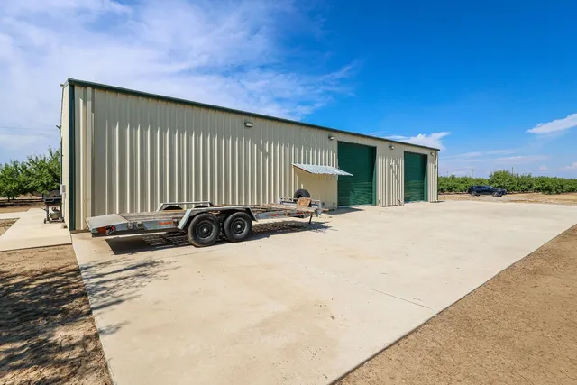 a view of a tree with a plant