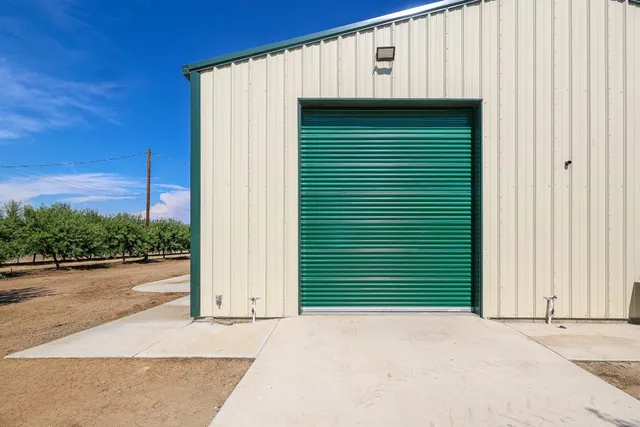 a view of a yard with plants and a trees