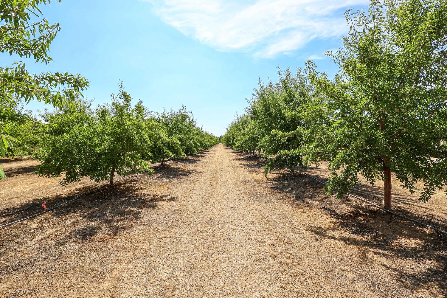 10391 Gillette Road Le Grand, CA 95333 - Photo 79 of 83