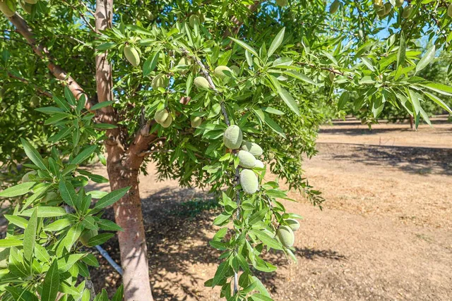 $1,250,000 | 10391 Gillette Road, Le Grand, CA 95333