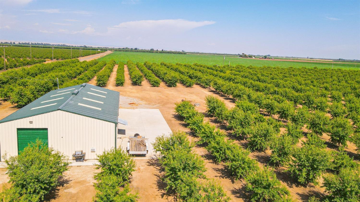 10391 Gillette Road Le Grand, CA 95333 - Photo 9 of 83 a view of a yard with a outdoor space