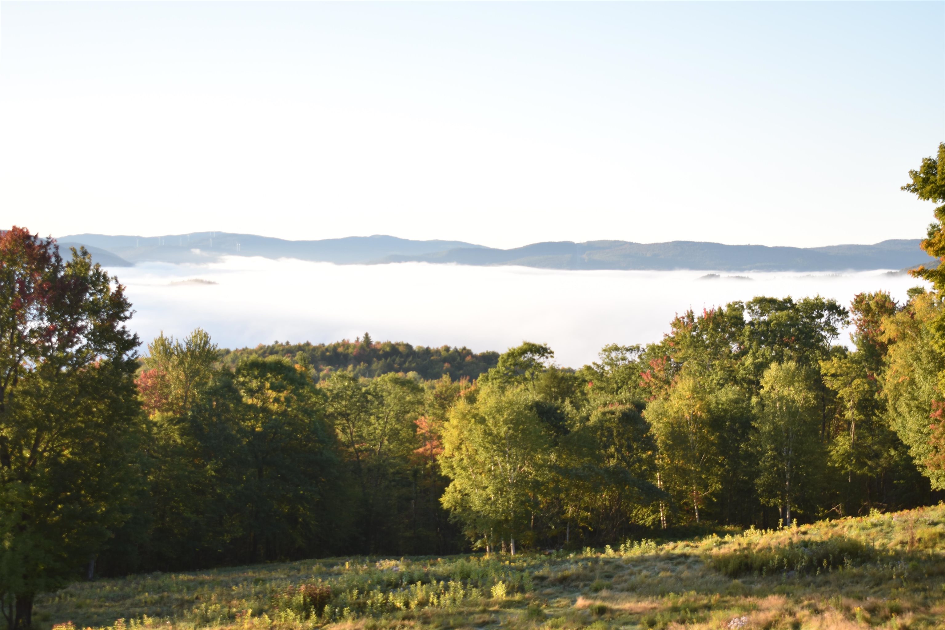 469 Atwell Hill Road Wentworth, NH 03282 - Photo 31 of 60 Gallery Image 31