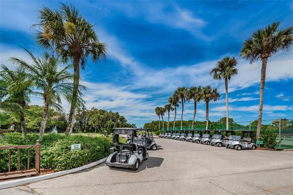9130 Bassett Lane New Port Richey, FL 34655 - Photo 34 of 41 a view of a patio with a table and chairs under an umbrella with palm trees
