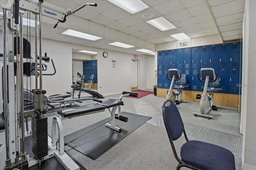 9130 Bassett Lane New Port Richey, FL 34655 - Photo 35 of 41 a view of a room with gym equipment