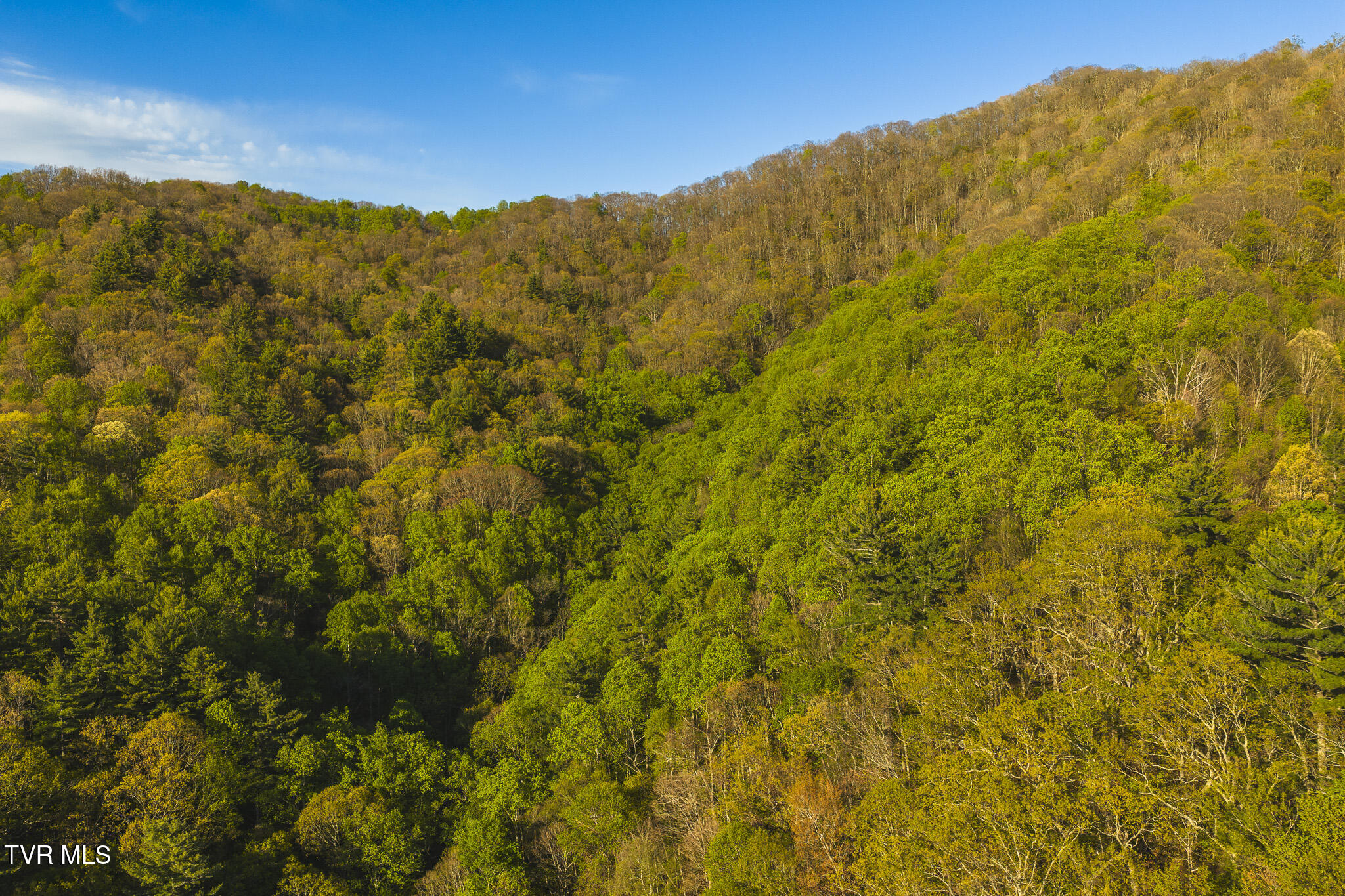 Tbd Gentry Mountain Road Flag Pond, TN 37657 - Photo 29 of 37 DJI_20260422183712_0647_D