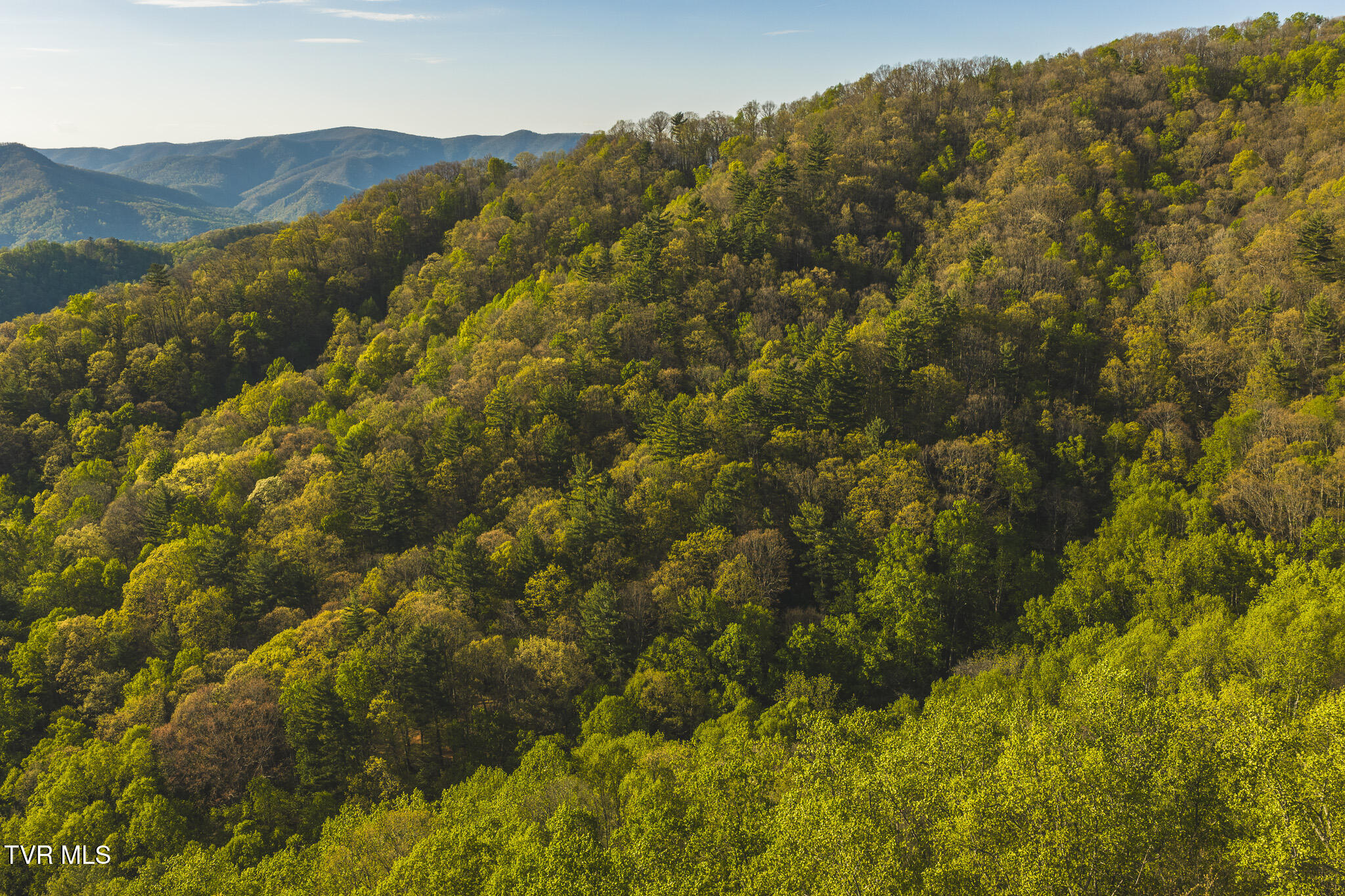 Tbd Gentry Mountain Road Flag Pond, TN 37657 - Photo 30 of 37 DJI_20260422183602_0643_D