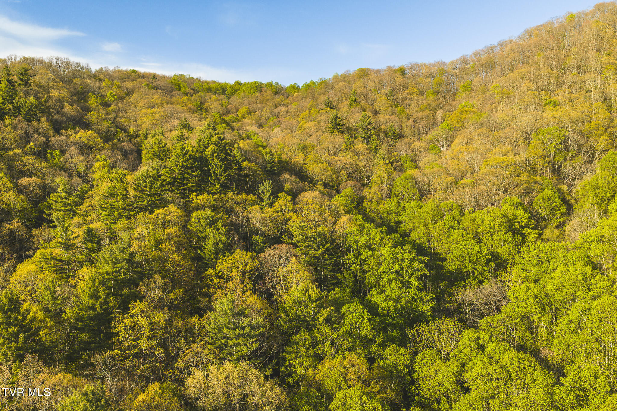 Tbd Gentry Mountain Road Flag Pond, TN 37657 - Photo 32 of 37 DJI_20260422183537_0640_D