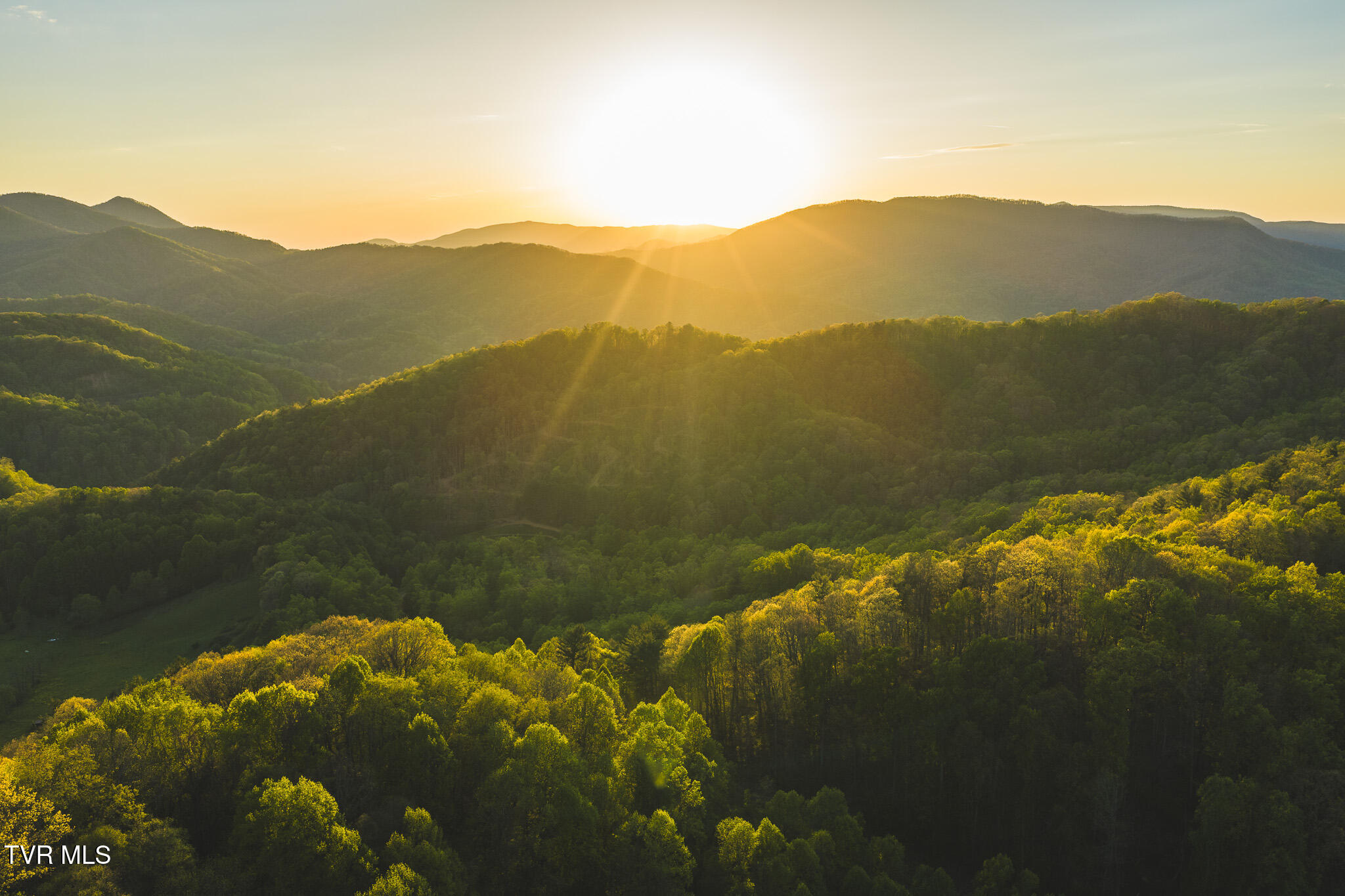 Tbd Gentry Mountain Road Flag Pond, TN 37657 - Photo 4 of 37 DJI_20260422195247_0686_D