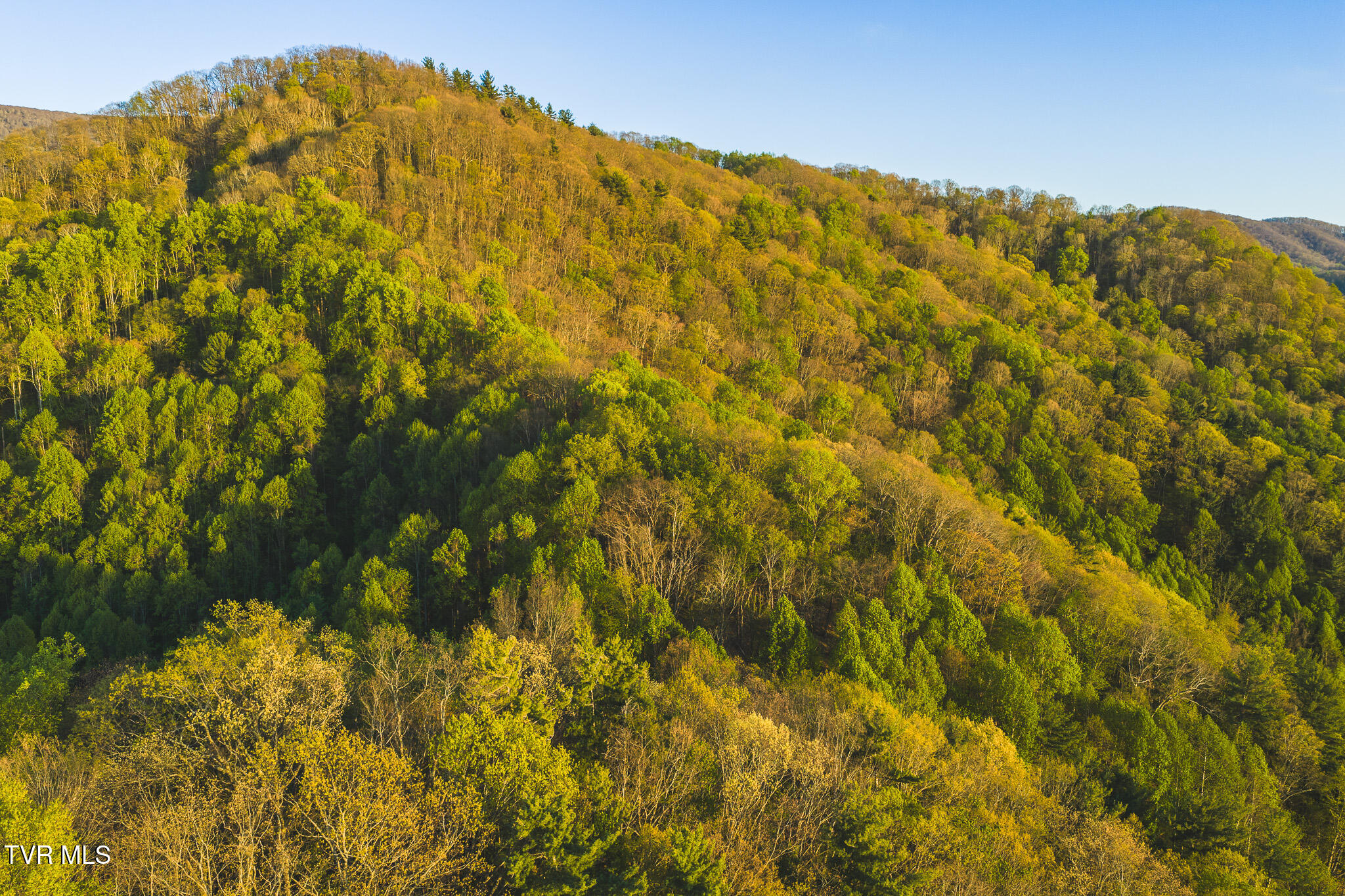 Tbd Gentry Mountain Road Flag Pond, TN 37657 - Photo 6 of 37 DJI_20260422195101_0679_D
