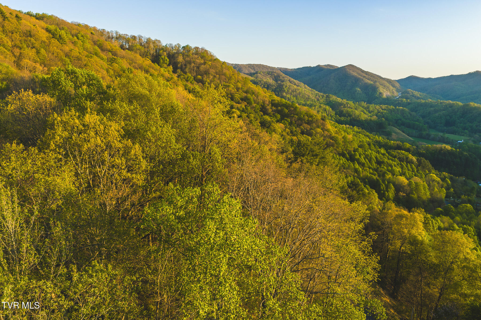 Tbd Gentry Mountain Road Flag Pond, TN 37657 - Photo 7 of 37 DJI_20260422195025_0677_D