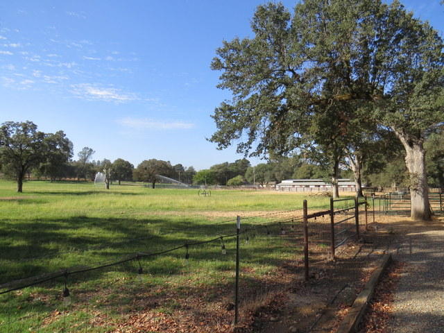 17410 Bowman Road Cottonwood, CA 96022 - Photo 18 of 24 a view of an outdoor space and yard