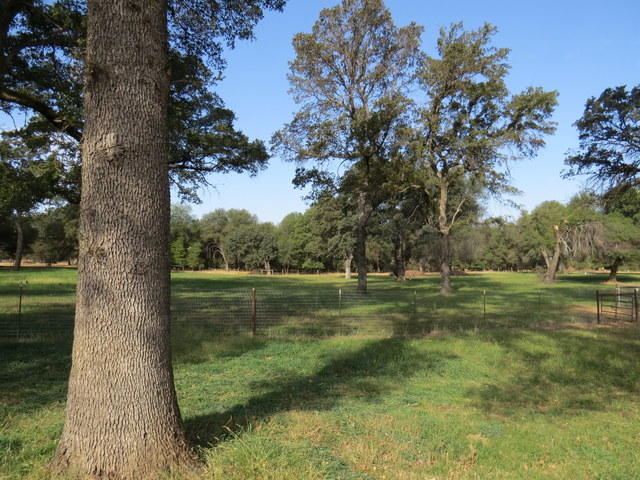 17410 Bowman Road Cottonwood, CA 96022 - Photo 21 of 24 a view of a lake from a yard