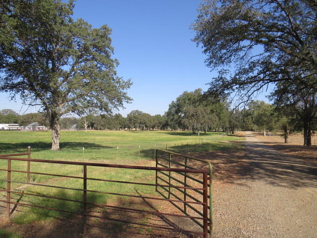 17410 Bowman Road Cottonwood, CA 96022 - Photo 22 of 24 a view of lake with green space