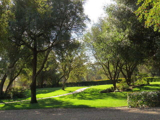 17410 Bowman Road Cottonwood, CA 96022 - Photo 24 of 24 a view of a park with large trees