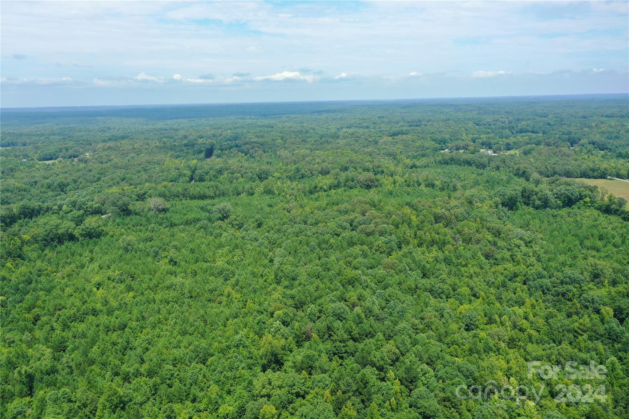 0 Frank Hallman Road Lancaster, SC 29720 - Photo 5 of 9