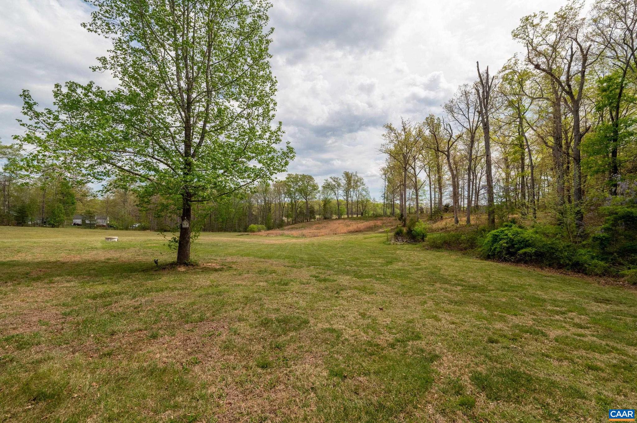 4973 Richmond Road Keswick, VA 22947 - Photo 3 of 55