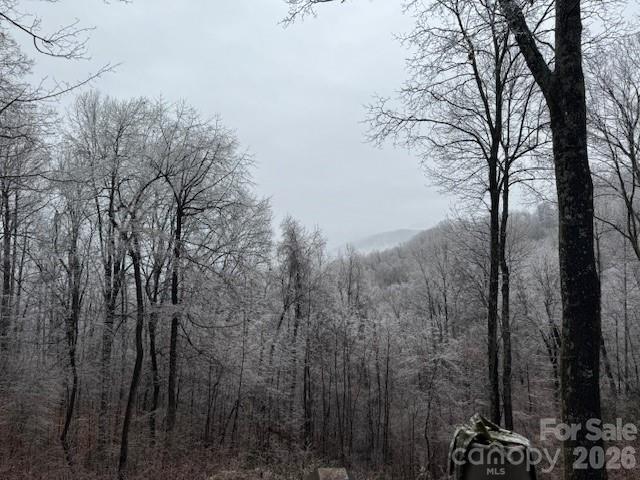 771 Sally Gap Road Old Fort, NC 28762 - Photo 40 of 44 a view of a forest with trees in the background