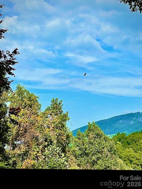 771 Sally Gap Road Old Fort, NC 28762 - Photo 43 of 44