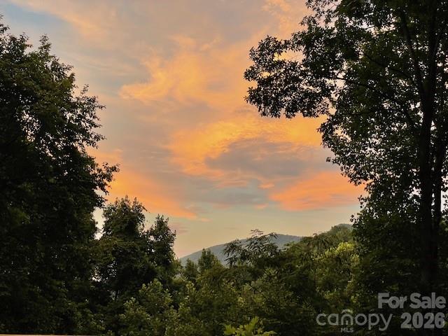 771 Sally Gap Road Old Fort, NC 28762 - Photo 44 of 44 a view of a tree