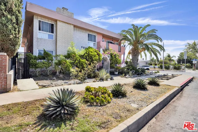 a view of a park with palm trees