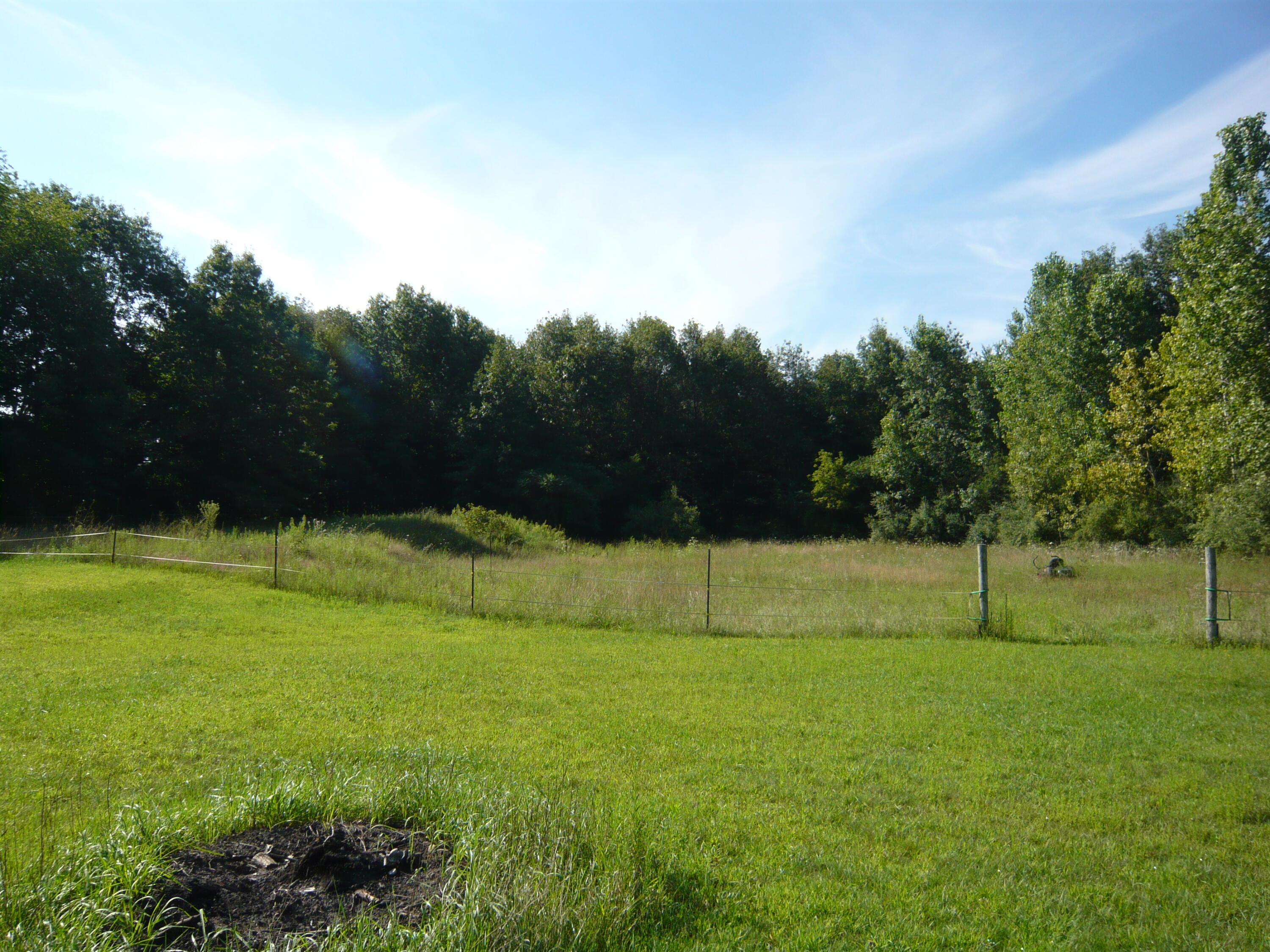 141 West Hatmaker Road Coldwater, MI 49036 - Photo 11 of 15 P1050793
