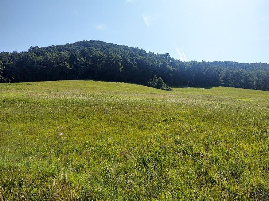 1200 Clearfork Road Morehead, KY 40351 - Photo 55 of 86 Photo 55