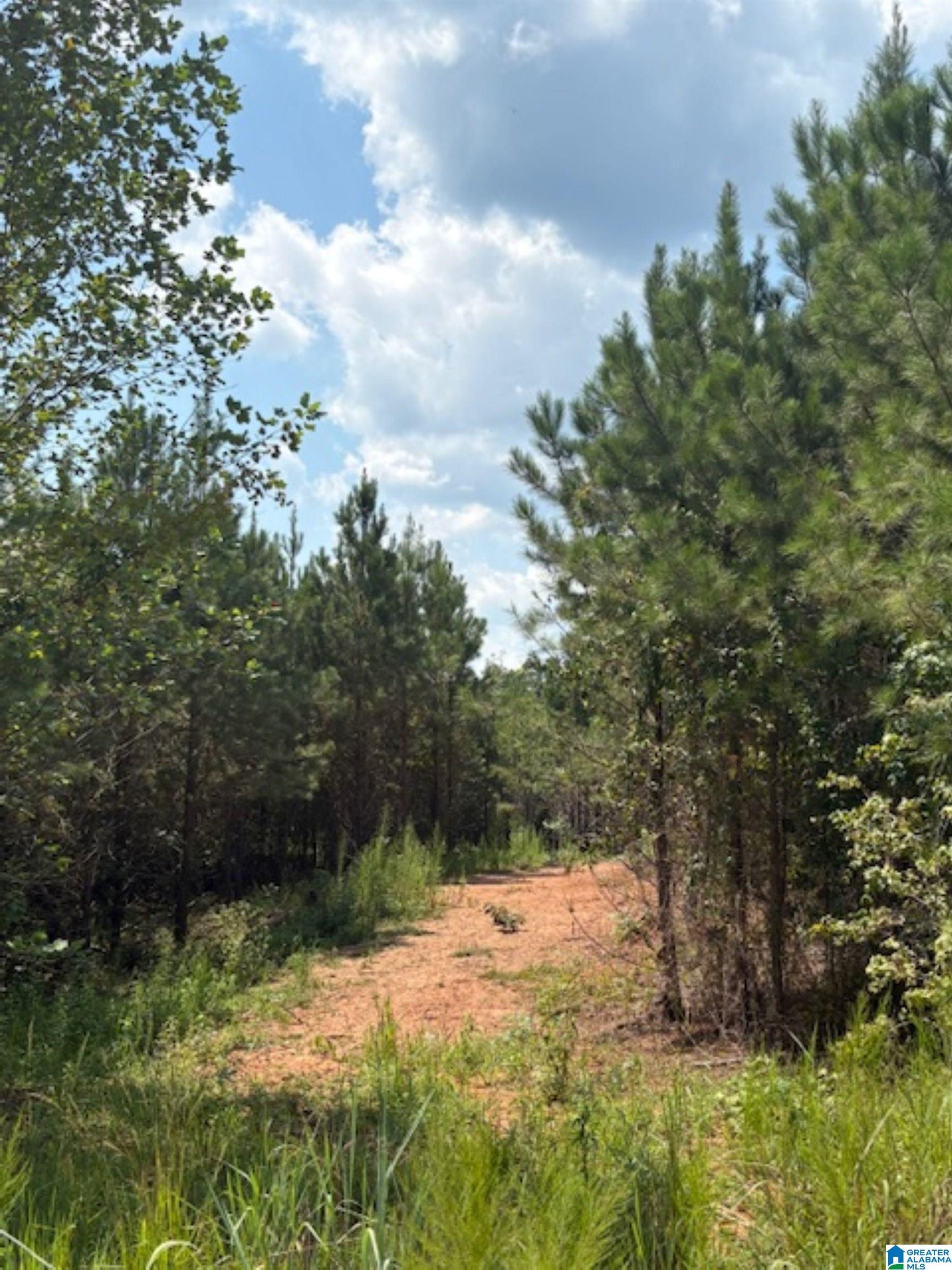 472 County Road, Unit 3 Clanton, AL 35045 - Photo 1 of 5