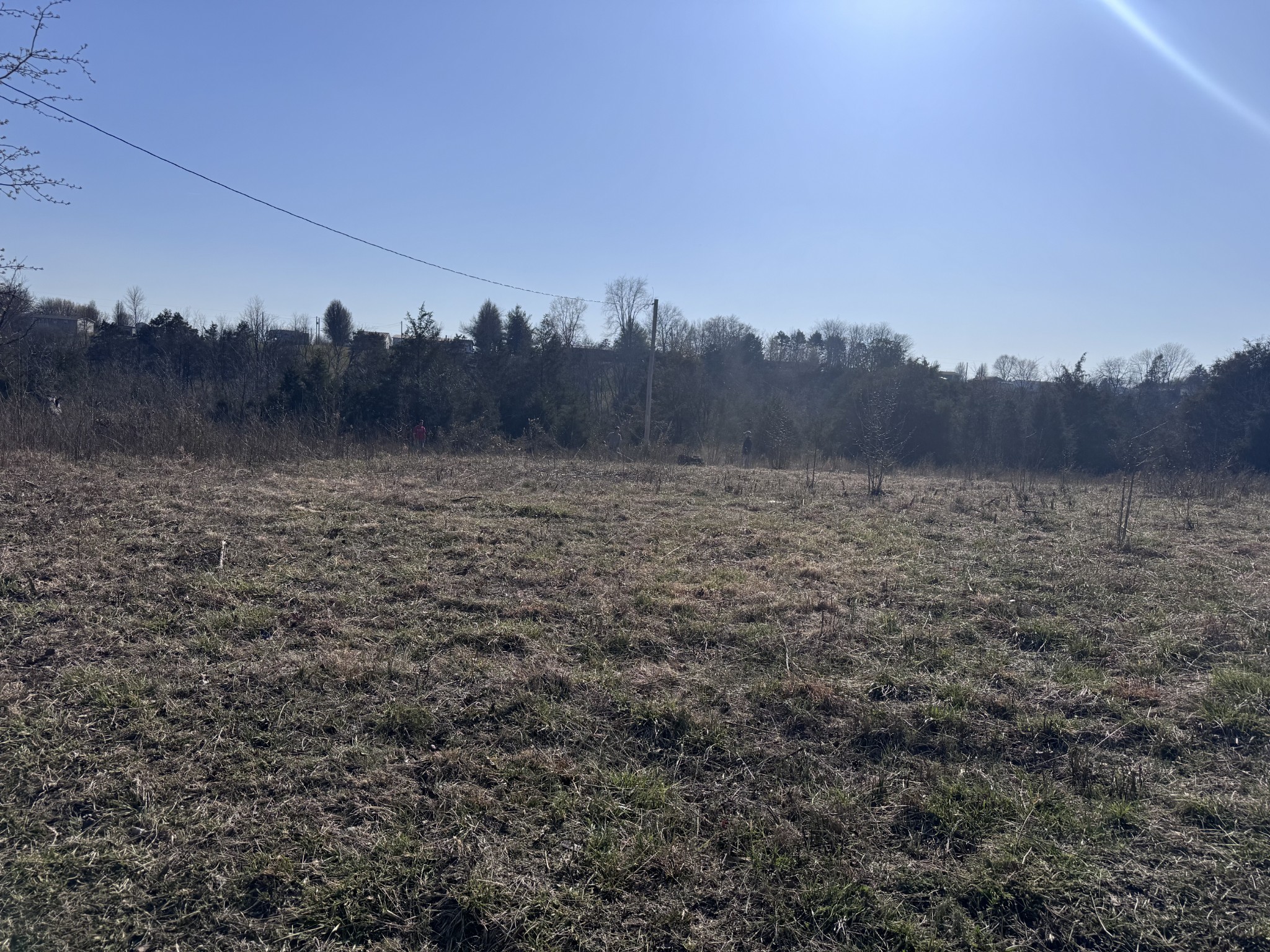 0 Ward Hollow Road Brush Creek, TN 38547 - Photo 1 of 8 a view of mountain and trees in the background