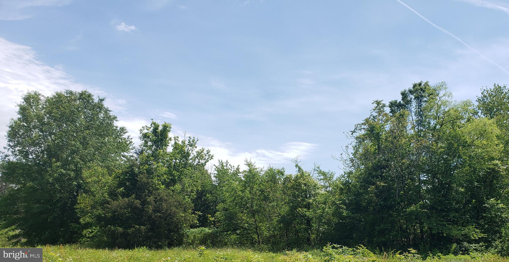 Catlett Road Bealeton, VA 22712 - Photo 4 of 4