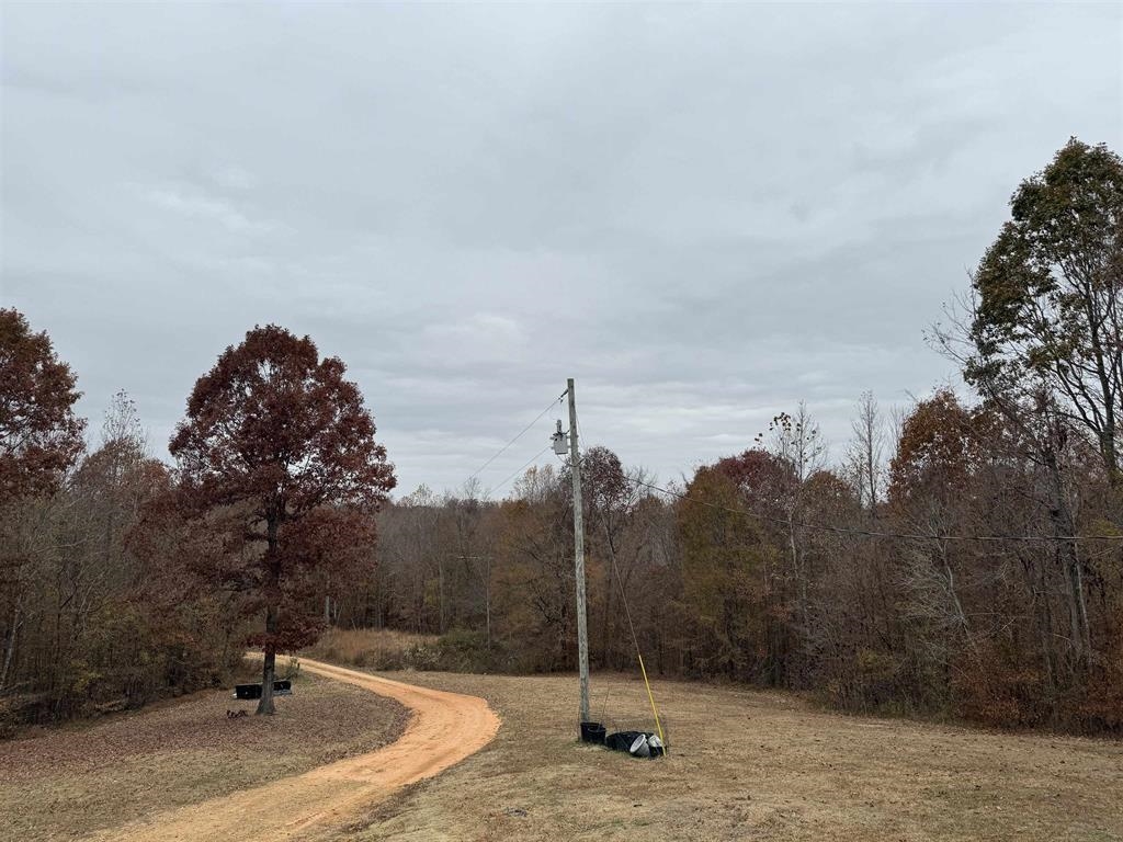 580 Gidget Road Morris Chapel, TN 38361 - Photo 13 of 29 Gallery Image 13