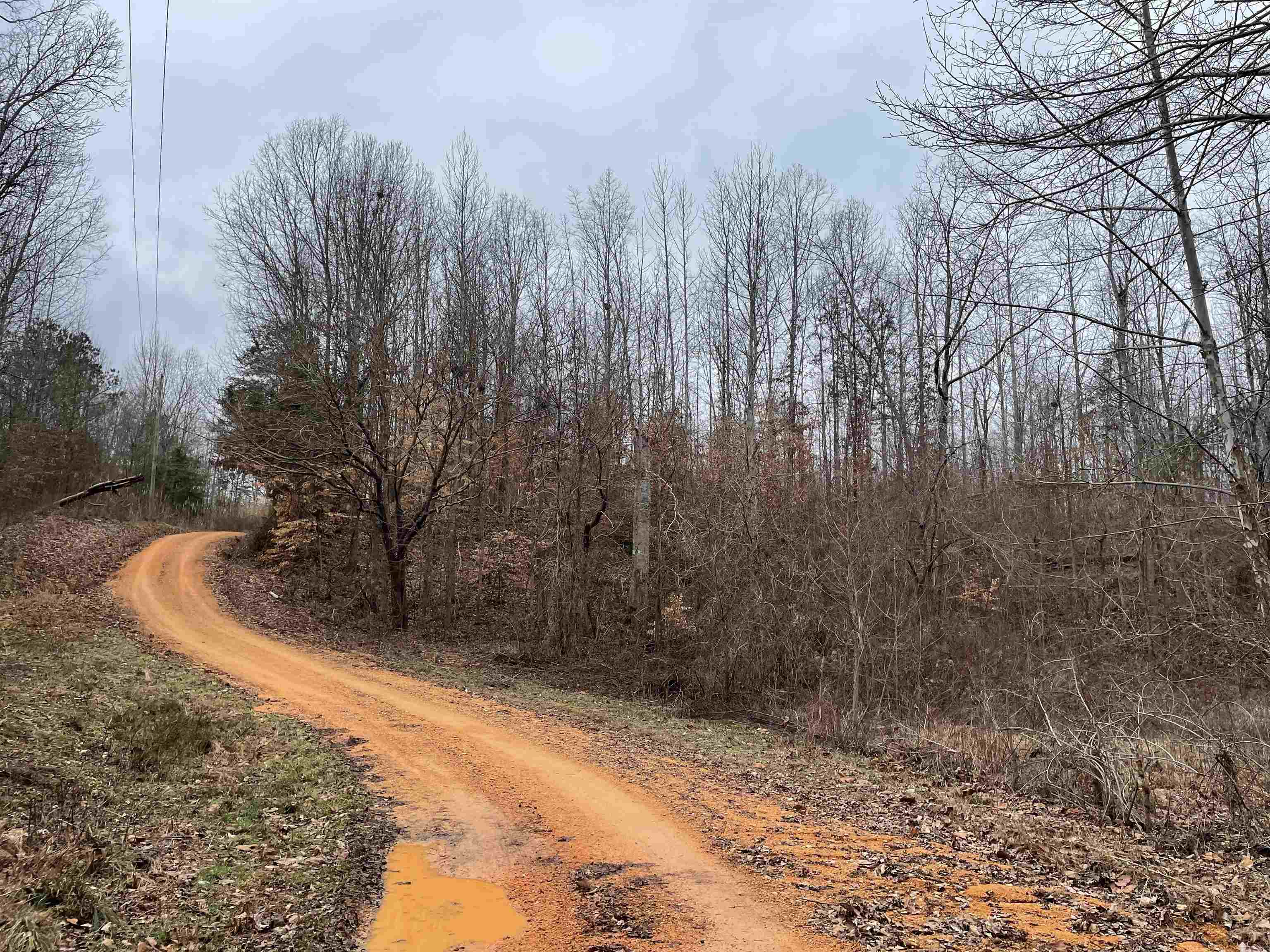 580 Gidget Road Morris Chapel, TN 38361 - Photo 16 of 29 View of road