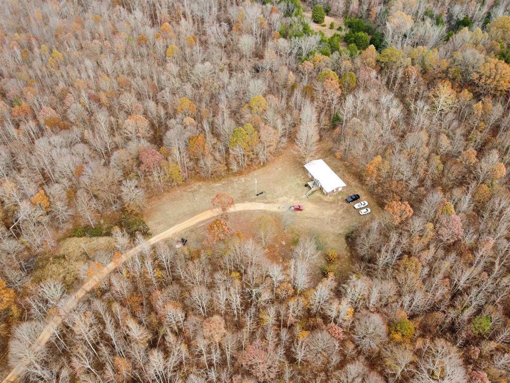 580 Gidget Road Morris Chapel, TN 38361 - Photo 2 of 29 Gallery Image 2