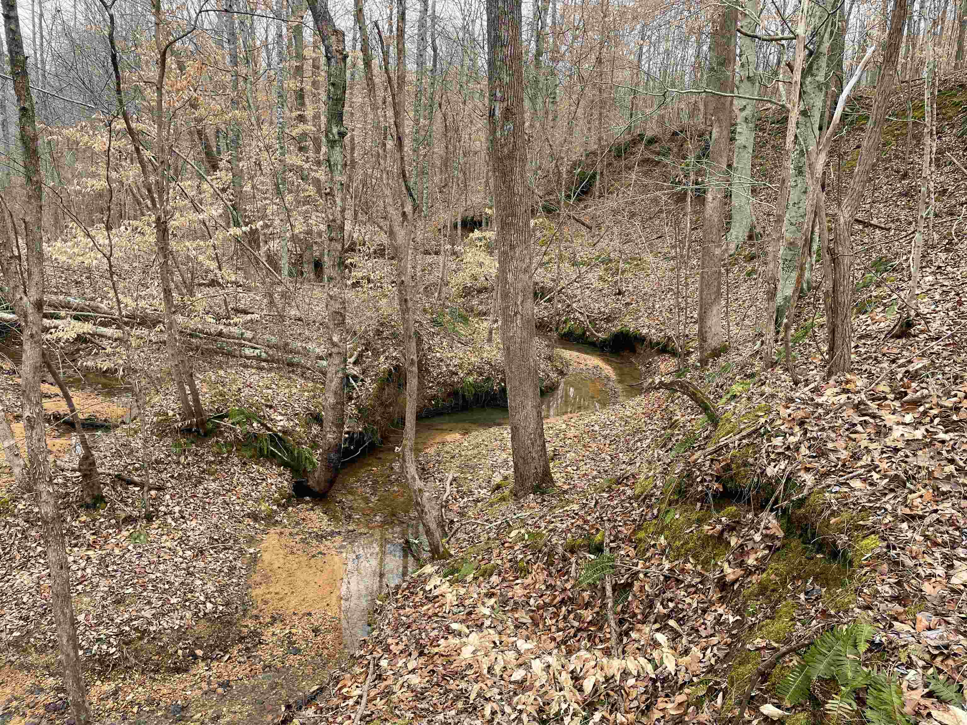 580 Gidget Road Morris Chapel, TN 38361 - Photo 3 of 29 View of nature